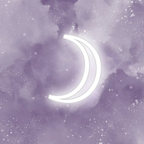 Raccoon Moon's Closet - Picture 1 of 1